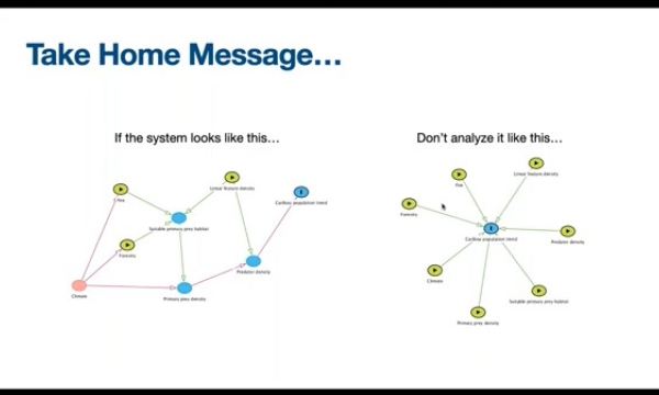Caribou causal analysis