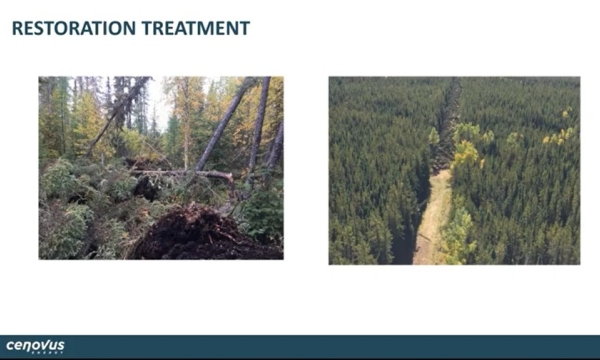 Seismic Restoration Field Trials