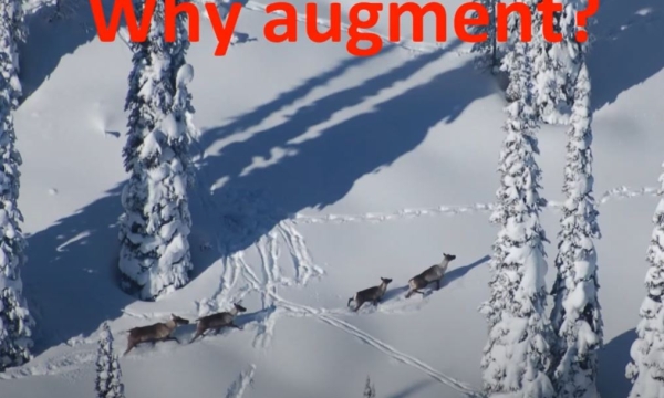 carib augment prev.JPG