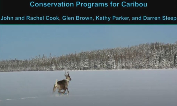 cook nutri carib prev.JPG