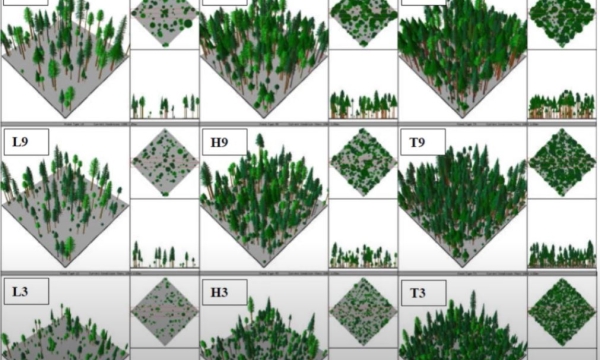 hicks adapt manage montana
