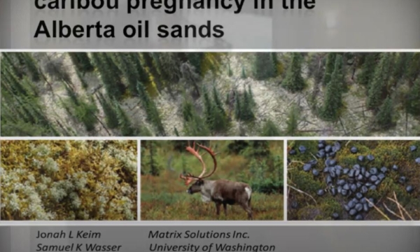 nutri mech carib prev.JPG