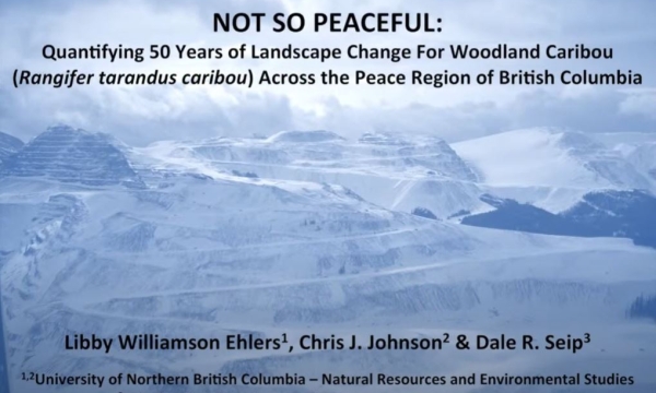 peace land carib prev.JPG