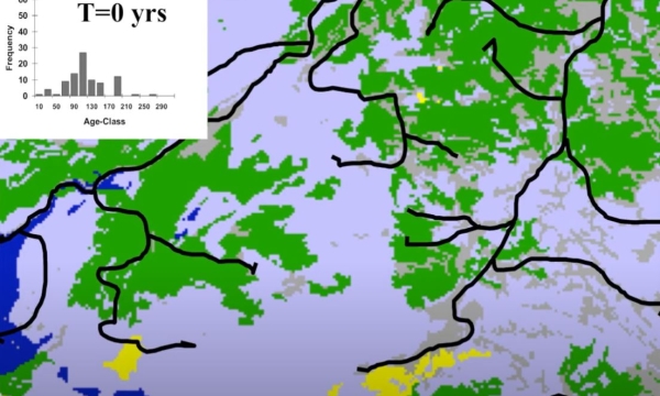 rip zone land andison.JPG