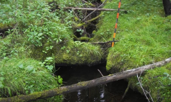 ripwater drain model.JPG