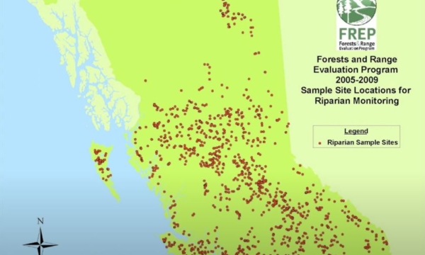 streammanage tripp.JPG