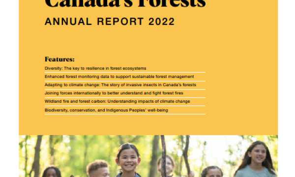 State of Canada's Forests Report cover depicting six children walking in a forest setting