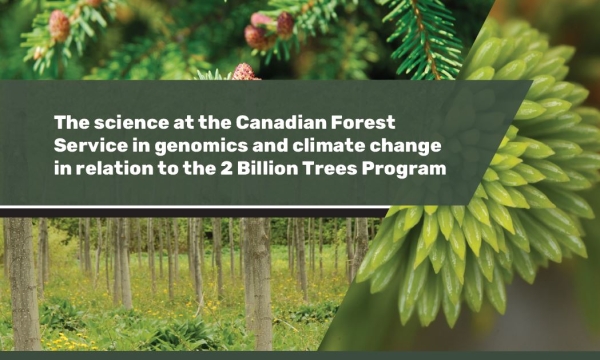 Canadian Forest Service (CFS) genomics and climate change brochure