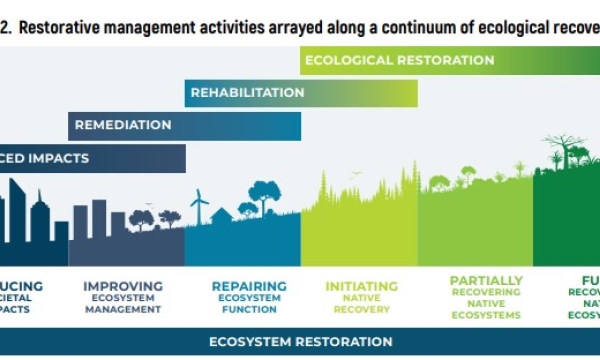 SER Restoration Continuum