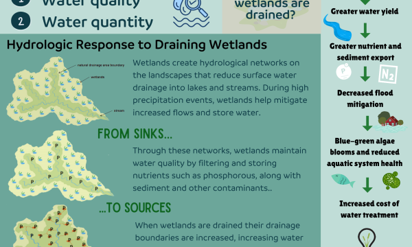 infographic
