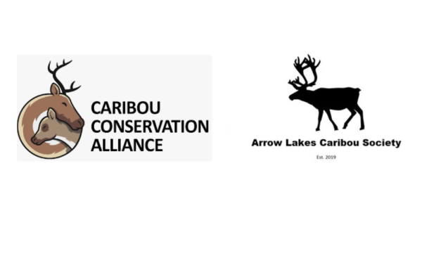 Image shows two logos - that of the Caribou Conservation Alliance, and of the Arrow Lakes Caribou Society