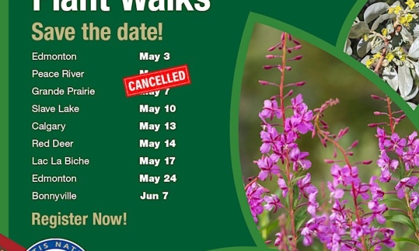 Traditional Plant Walks