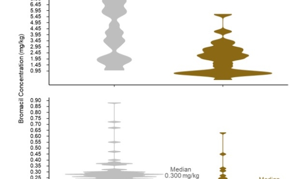 Median bromacil concentration in soil