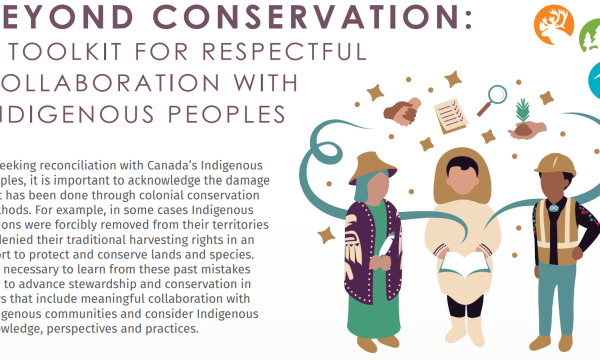 Brief for Beyond Conservation Toolkit