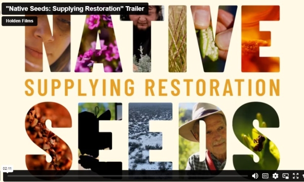 SER Native Seeds Videos