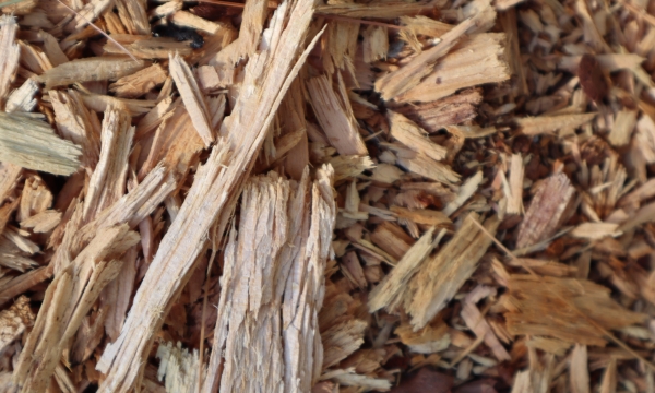 mulch