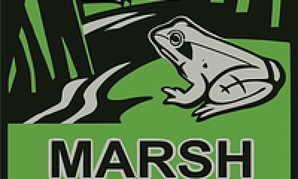 Marsh Watch