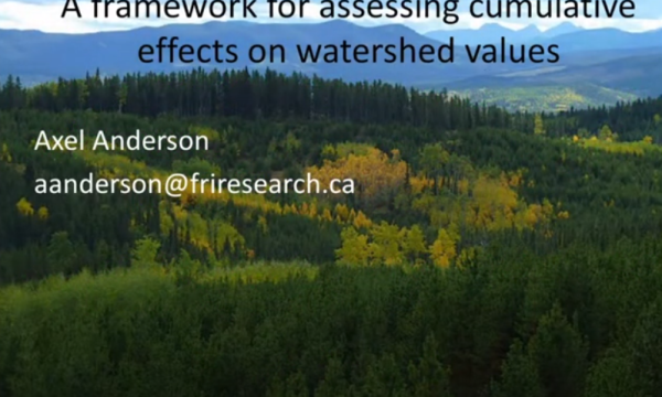 Anderson cumulative watershed