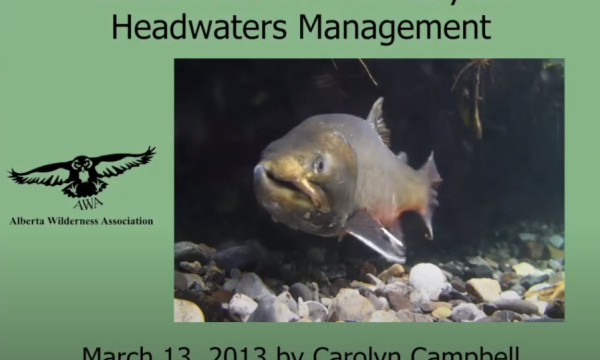 Campbell headwaters management