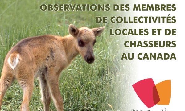 capture de page couverture