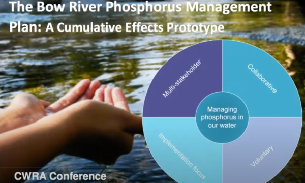 Cronkhite P Management