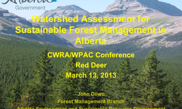 Diiwu watershed forest