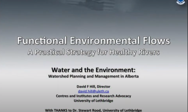 Hill Functional Flows