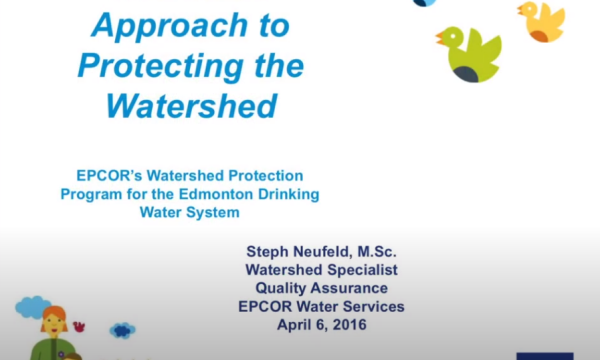 Neufeld Holistic Watershed