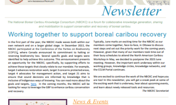 Newsletter cover page