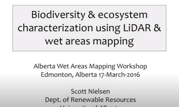 Nielsen Ecosystem charact