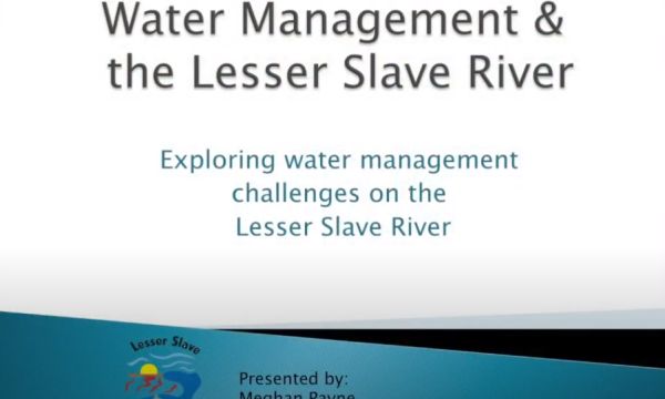 Payne lesser slave management