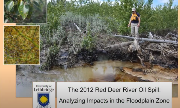 Rood oil spill impacts