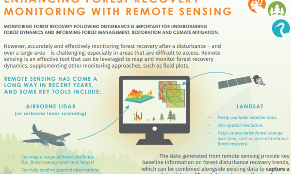 Remote sensing infographic