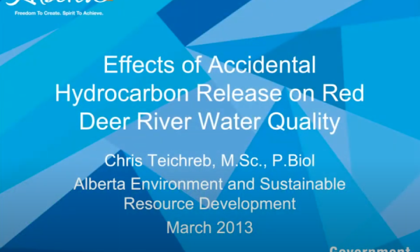 Teichreb hydrocarbon release