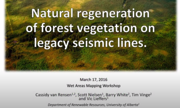 Van Rensen Natural regen