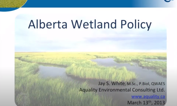 White wetland policy