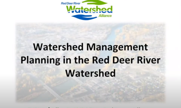 Wyntjes watershed planning