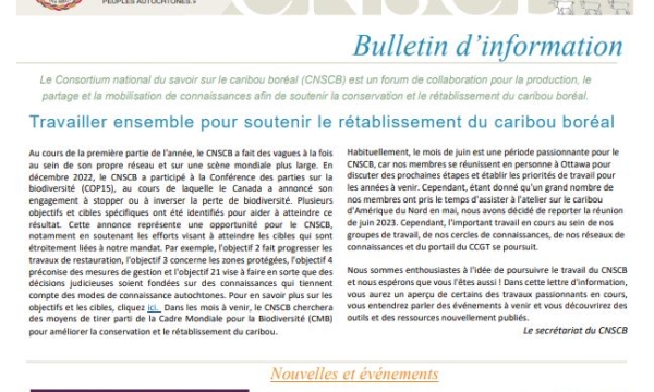 bulletin d'info ed.17