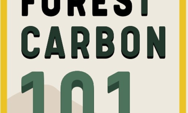 Forest Carbon