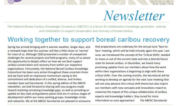 Newsletter cover page