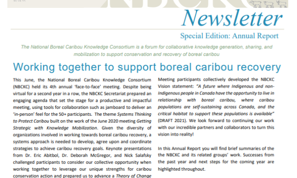 Newsletter cover page