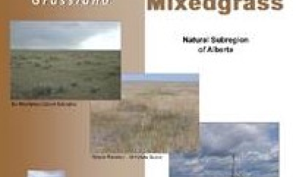 Dry Mixedgrass Report