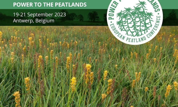 Power to the peatlands