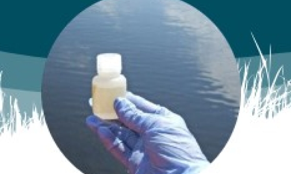 Wetland water sample