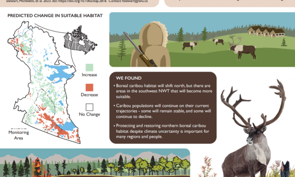 infographic thumbnail