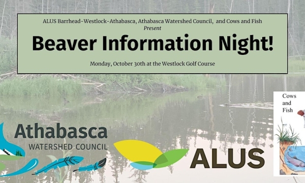 Beaver Information night