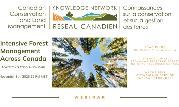 Intensive Forest Management