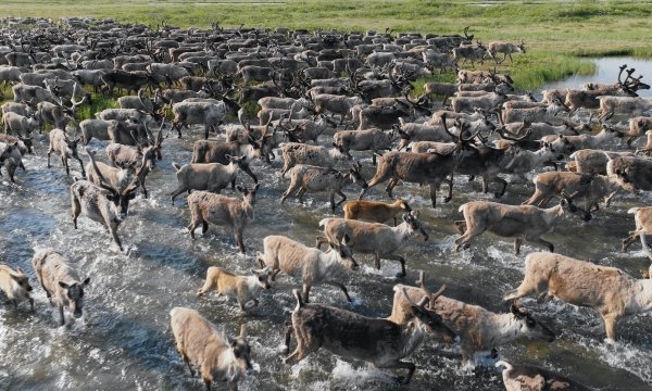 Breathing Lands - Water Brothers
