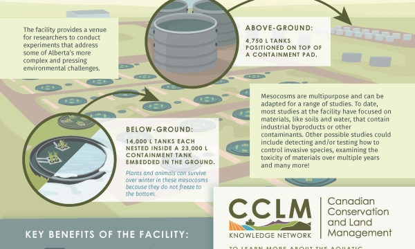 CCLM_Mesocosms_Final