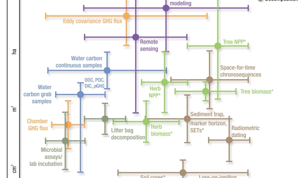 Figure from Practical Guide to Measuring Wetland Carbon Pools and Fluxes